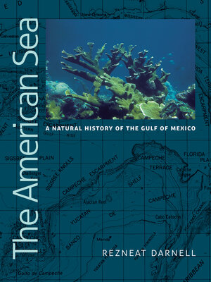 cover image of The American Sea
